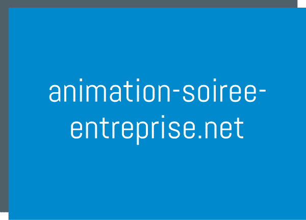 logo animation-soiree-entreprise.net