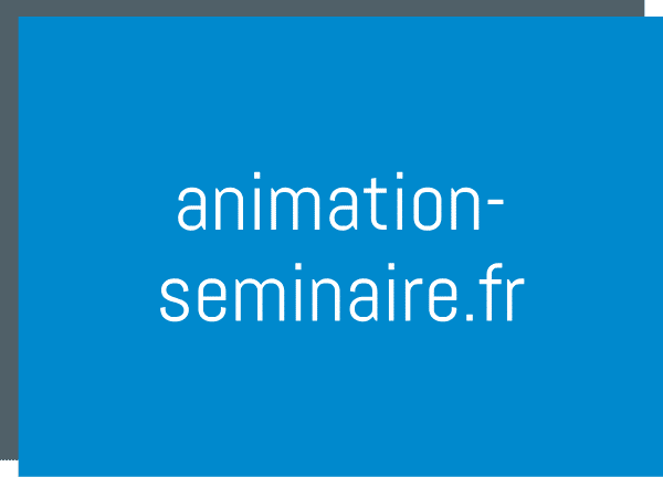 logo animation-seminaire.fr